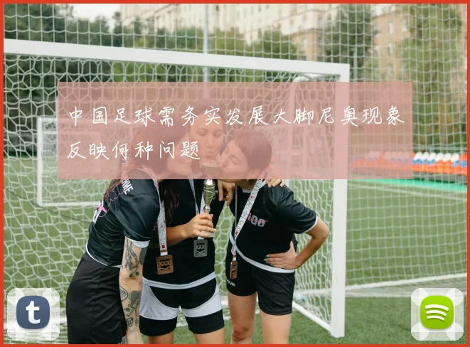 中国足球需务实发展大脚尼奥现象反映何种问题